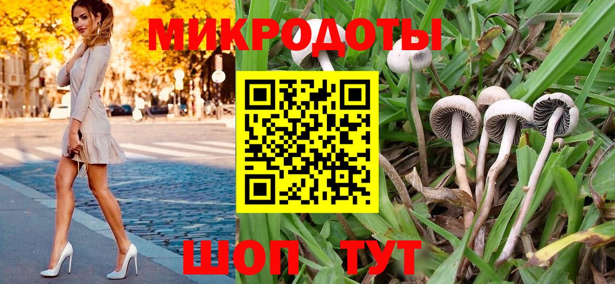 Галлюциногенные грибы мицелий Гусь-Хрустальный